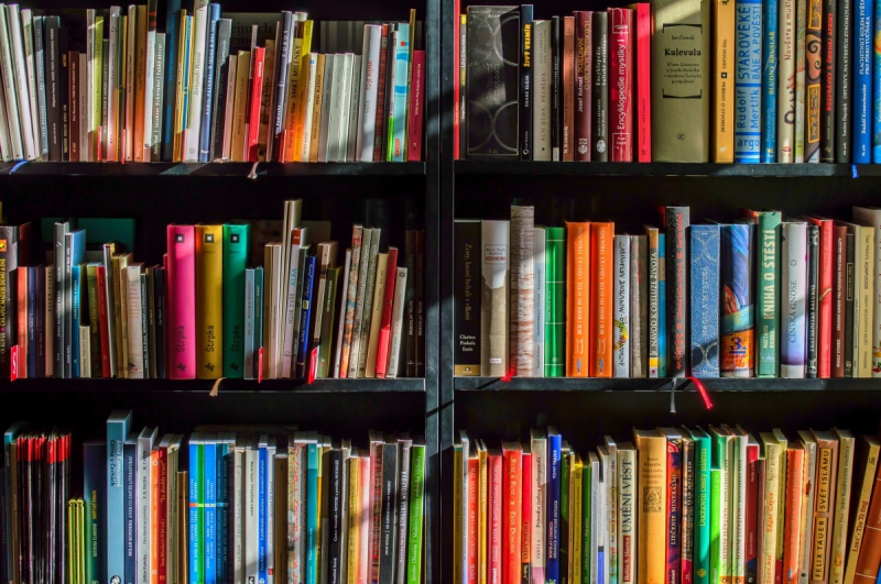 boutique-FREJUS-min_books_bookstore_book_reading_shop_writer_sale_books_read-822866